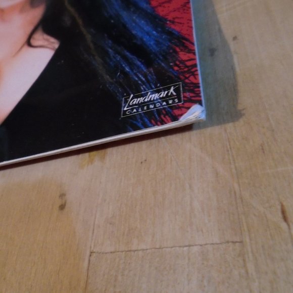 1994 ELVIRA, MISTRESS OF THE DARK, 12 MONTH CALENDAR!!! - Picture 4 of 4